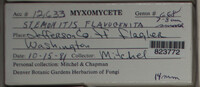 Image Associated With the Occurence